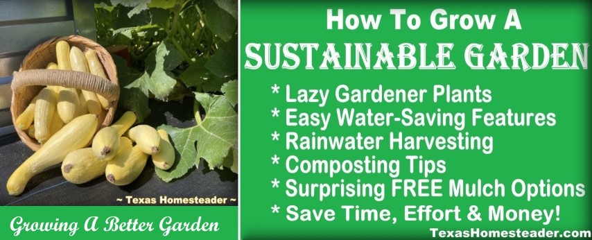 Sustainable Garden tips and tricks - better garden and save money. #TexasHomesteader