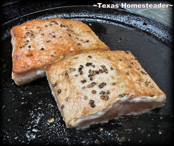 Salmon Filets Seared To Perfection In Cast Iron Skillet. #TexasHomesteader