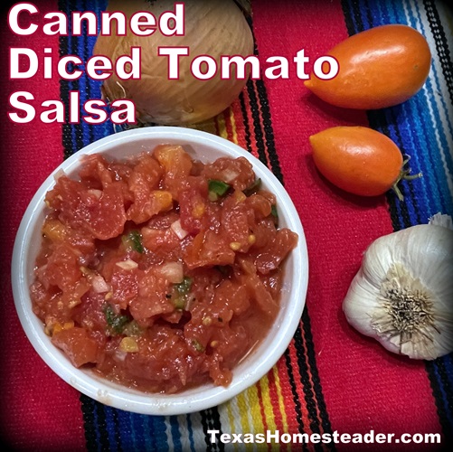 Canned Diced Tomato Salsa - A Quick Salsa Substitute. #TexasHomesteader