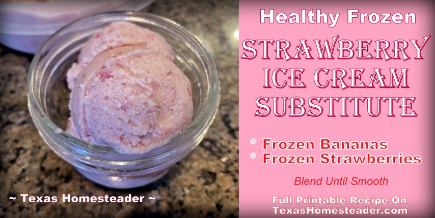 Frozen banana and strawberry healthier ice cream substitute - NICEcream! #TexasHomesteader