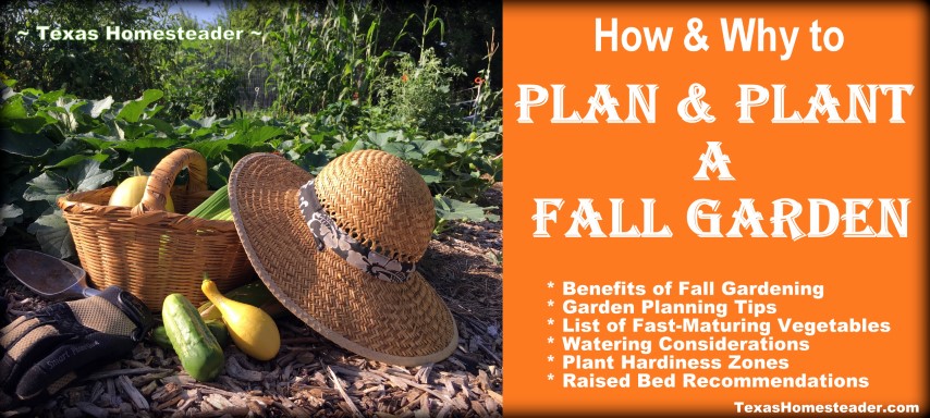 How and why to plant a Fall Garden - benefits, planting zones, raised bed recommendations, etc. #TexasHomesteader