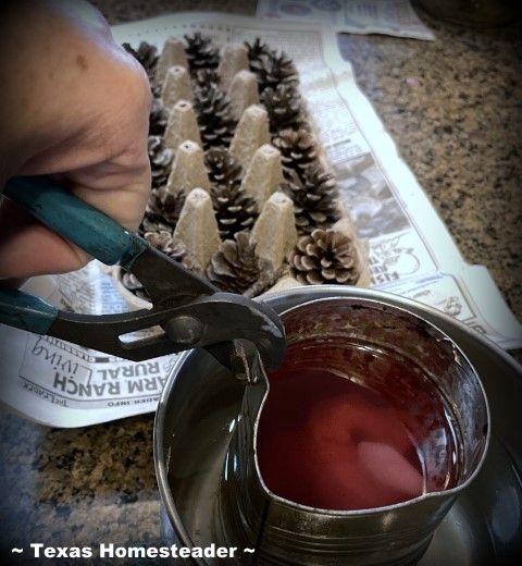 Cardboard egg carton and pinecone fire starter - melt hot wax. #TexasHomesteader