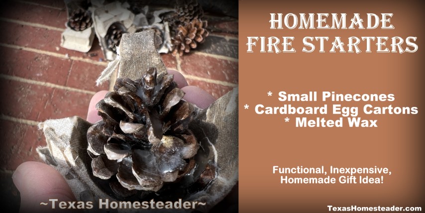 Fire starter using cardboard egg carton, pinecones and melted wax. #TexasHomesteader