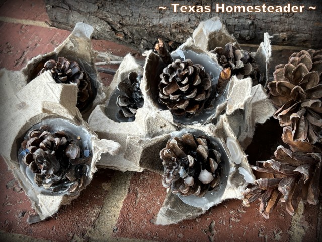 Fire starters - cardboard egg carton, pinecones and melted wax. #TexasHomesteader