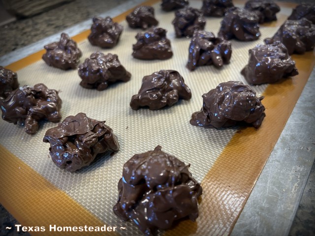 Slow cooker pecan clusters chocolate candies on silicone mat. #TexasHomesteader