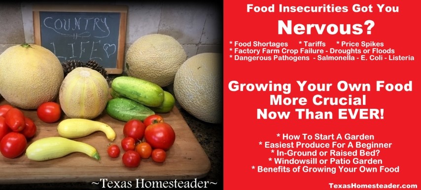 Tariffs, pathogens, factory farm practices and chemicals make growing your own food more important. #TexasHomesteader