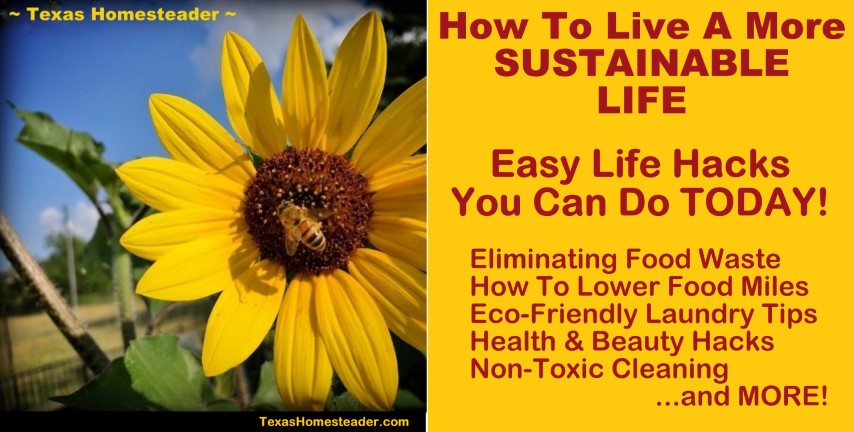 I'm sharing sustainable life tips including non toxic cleaning, reducing food miles and more. #TexasHomesteader