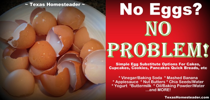 Egg Substitutions, Egg shortage, Cooking without eggs, Egg shells. #TexasHomesteader